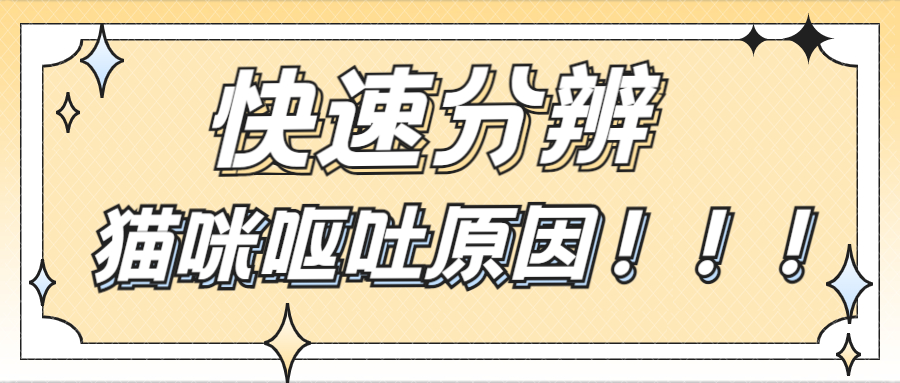 我家猫又又又吐了！怎么判断严不严重啊？