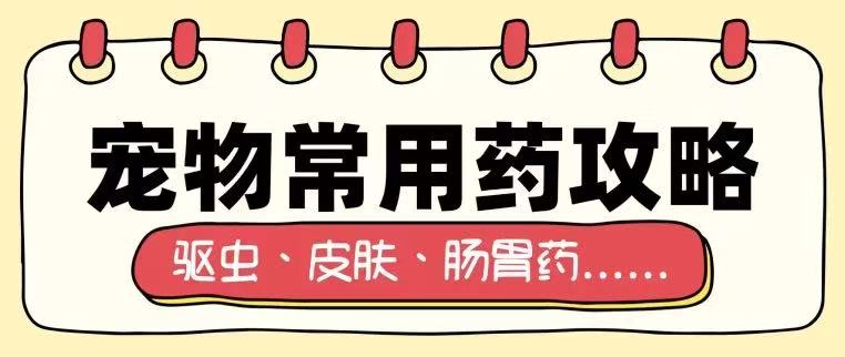 宠物常用药攻略：驱虫、皮肤、肠胃药一次说清