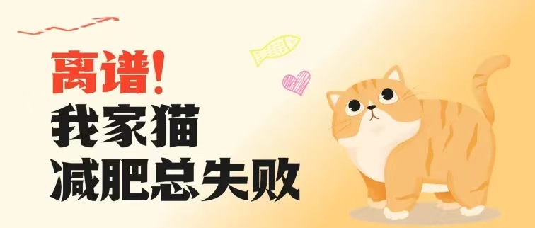 喂一碗粮还胖？猫减肥总失败  问题出在这3个误区