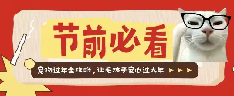 节前必看｜宠物过年全攻略，让毛孩子安心过大年