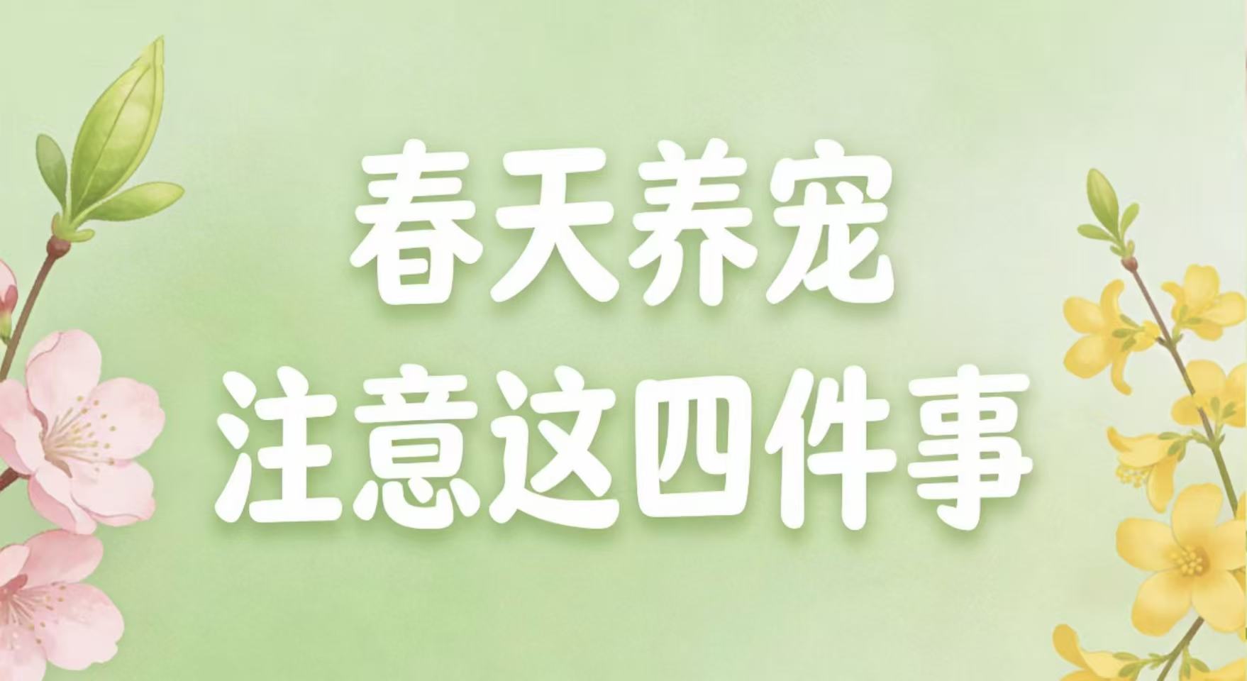 春天养宠注意这四件事!